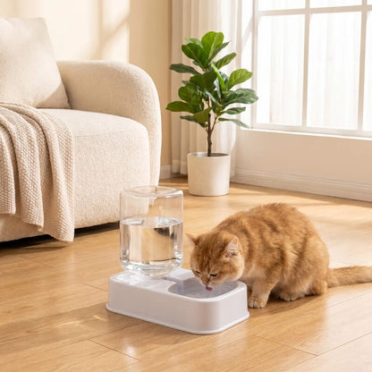 Distributeur eau chat MonChatEauDi hydratation facile