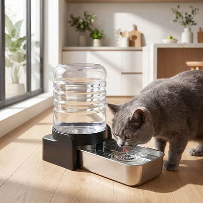 Distributeur eau chat MonChatEauDo avec filtre 3.8L