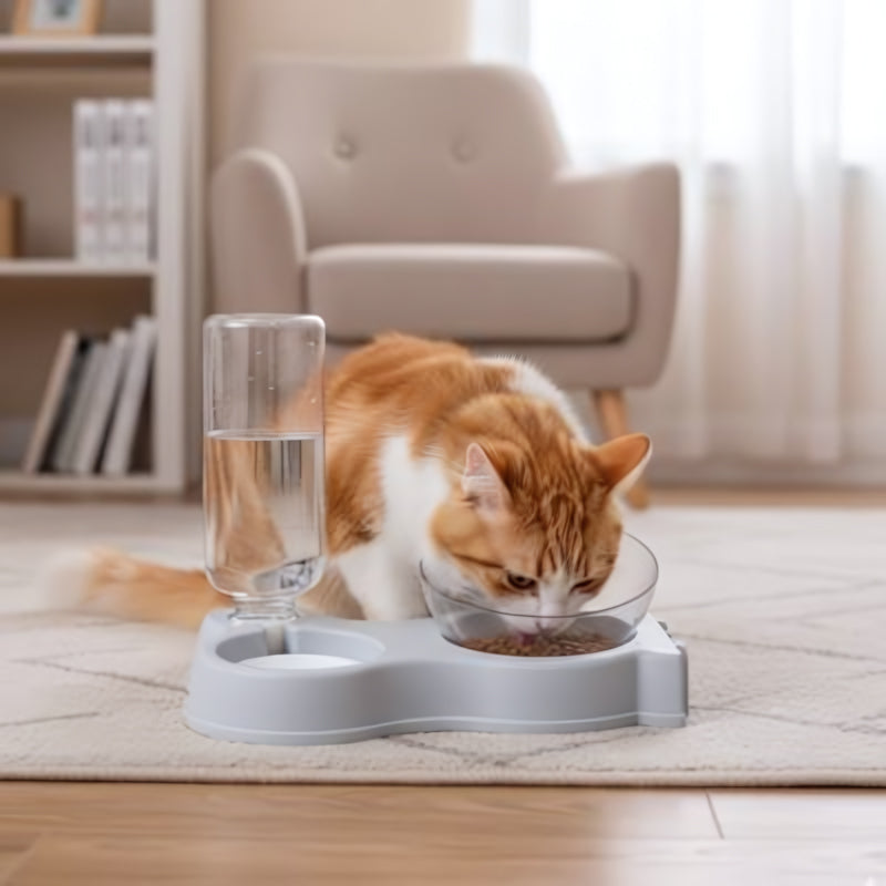 Distributeur eau et croquettes pour chat gris