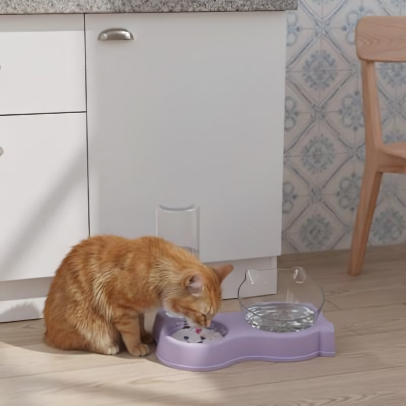 Distributeur eau et croquettes pour chat violet