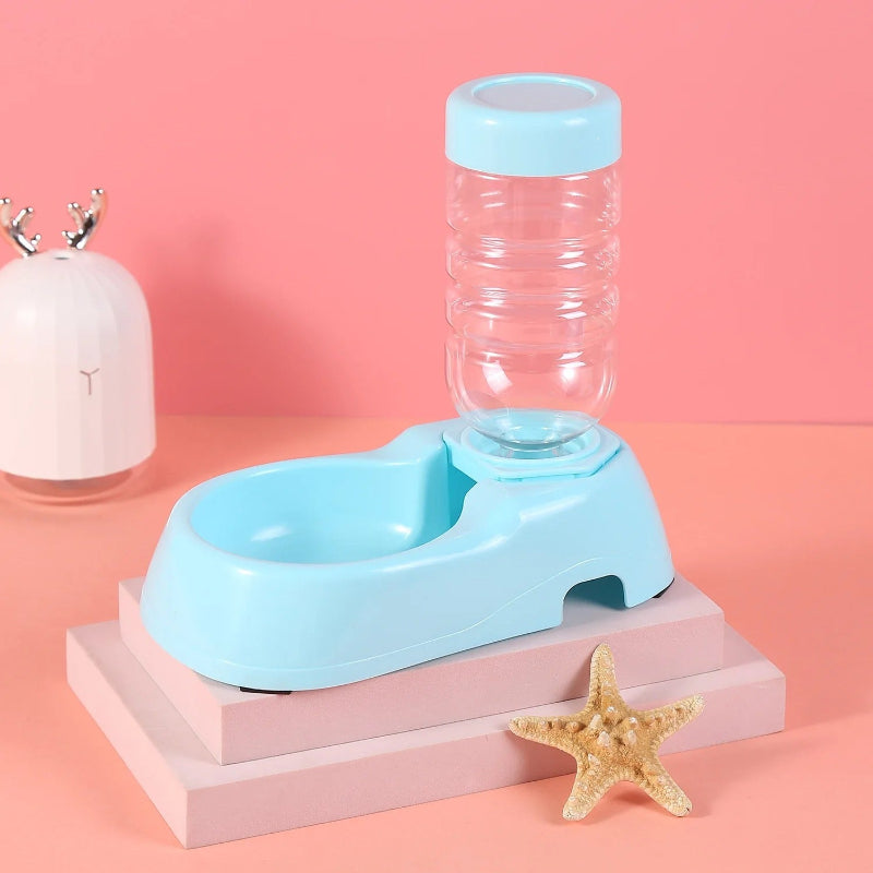 Distributeur eau pour chat-chatons bleur clair