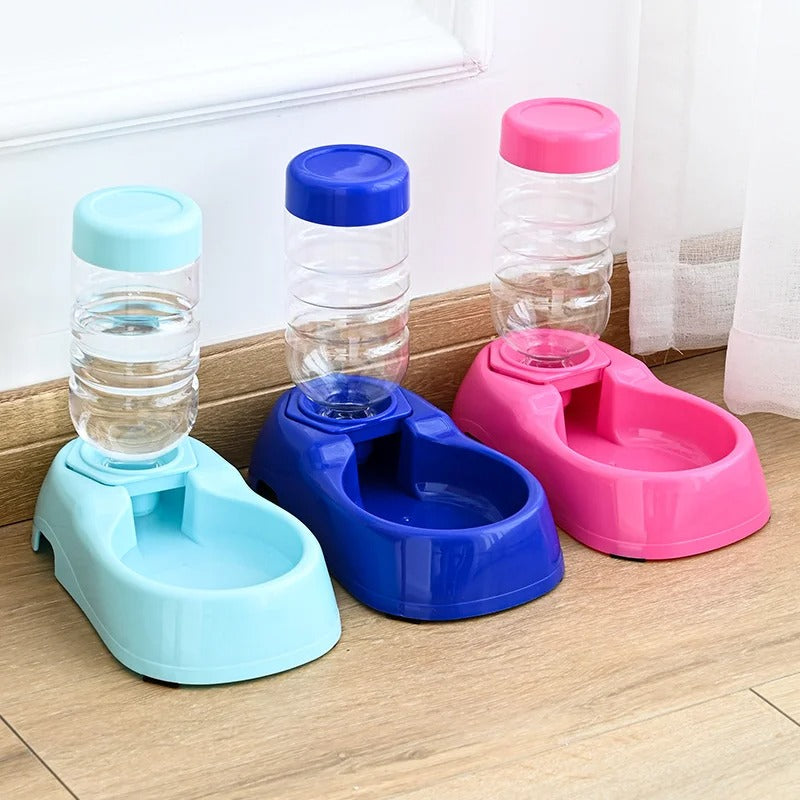 Distributeur eau pour chat-chatons plusieurs couleurs