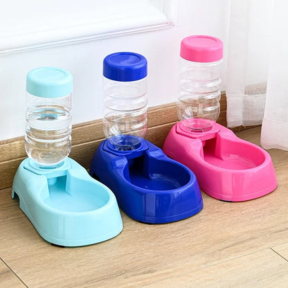 Distributeur eau pour chat-chatons plusieurs couleurs