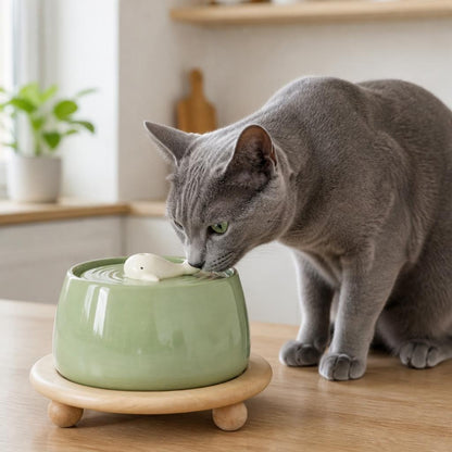 fontaine a eau chat ceramique 1,3 L MonChatFiltrEau chat bleu russe boit fontaine verte support bois