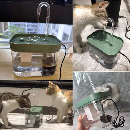 Fontaine a eau chat mosaïque action