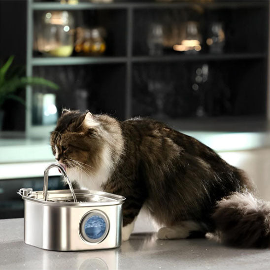 fontaine à eau chat monchatfreshflow 
adapté pour chats