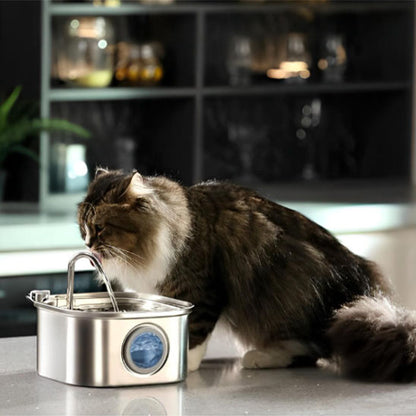 fontaine à eau chat monchatfreshflow 
adapté pour chats