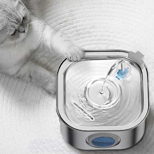 fontaine à eau chat monchatfreshflow approuvé