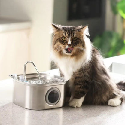fontaine à eau chat monchatfreshflow 
chat satisfait