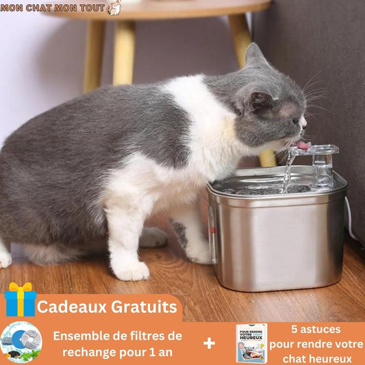 Fontaine-à-eau-pour-chat-cadeau-filtres