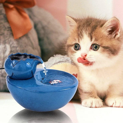 Fontaine a eau pour chat ceramique lotus et carpes koï MonChatLotusKoï chaton curieux bleu