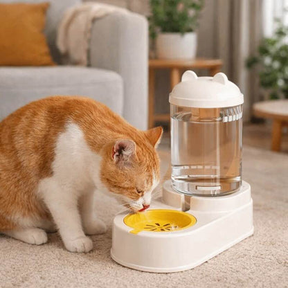 Fontaine à eau pourchat sans électricité MonChatFontEau grand chat boit blanc