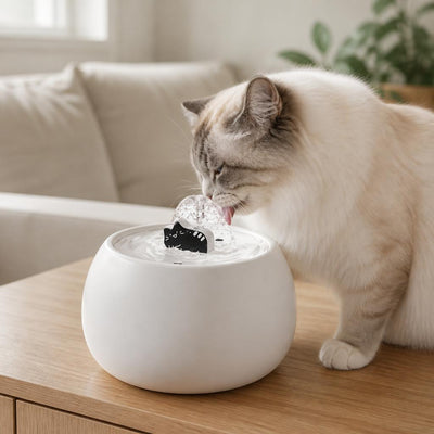 fontaine chat ceramique 1 L MonChatSourcEau chat poil long boit fontaine blanche buffet chêne clair