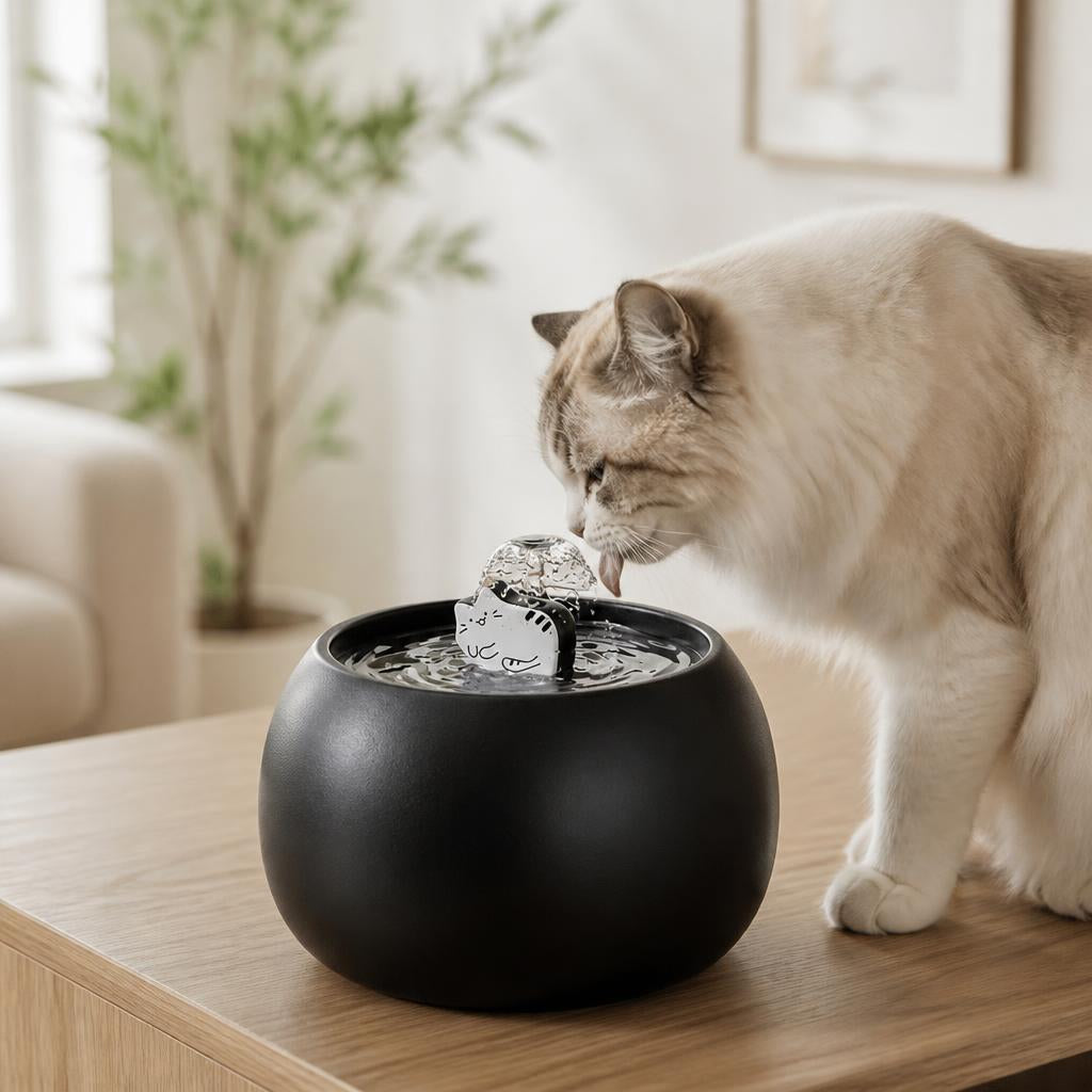 fontaine chat ceramique 1 L MonChatSourcEau chat poil long boit fontaine noire console chêne