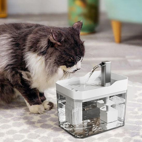 Fontaine pour chat MonChatAquaFresh boit blanc transparent