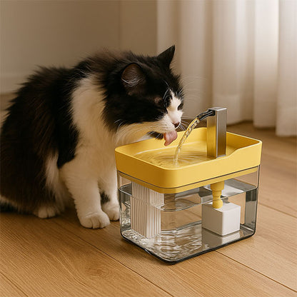 Fontaine pour chat MonChatAquaFresh hydratation chat
