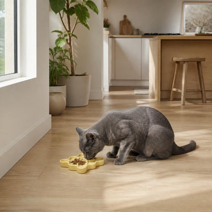 Gamelle anti glouton chat Céramique Losange bien être