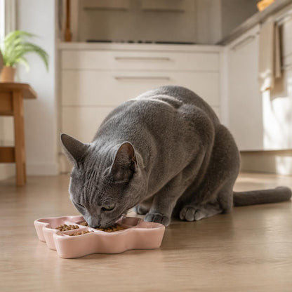 Gamelle anti glouton chat Céramique Losange mange rose