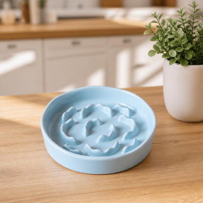 Gamelle anti glouton chat | Céramique ralentit alimentation