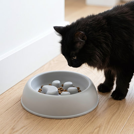 Gamelle chat anti glouton MonChatIlots digestion facilitée