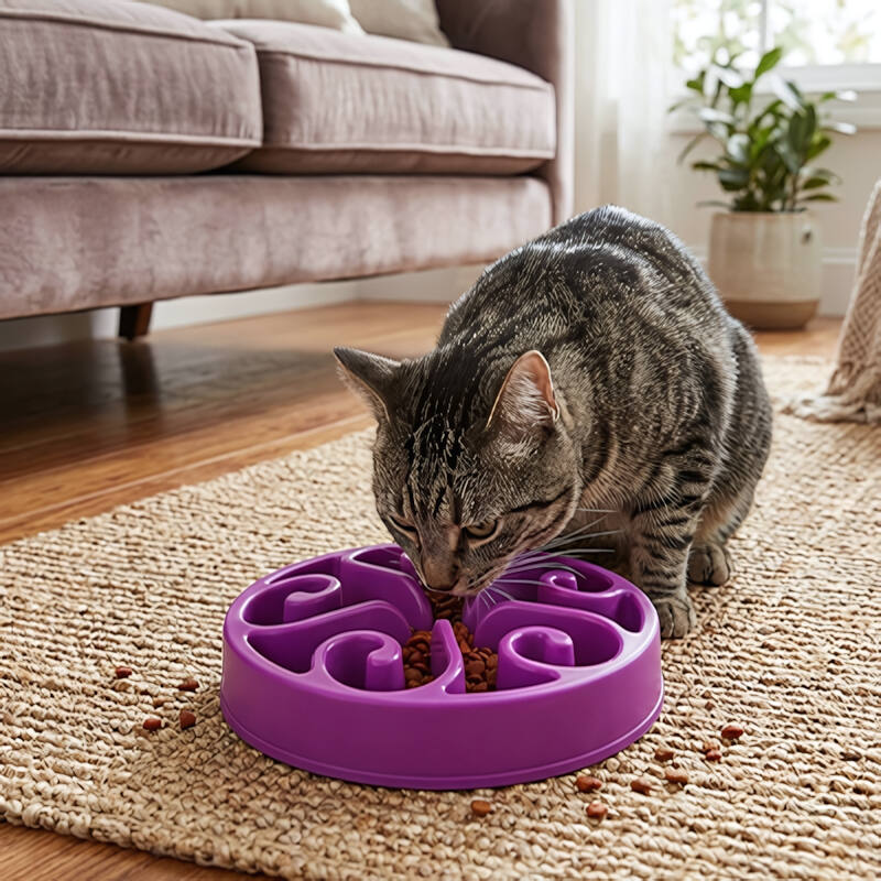 Gamelle chat anti glouton MonChatSpirale violet