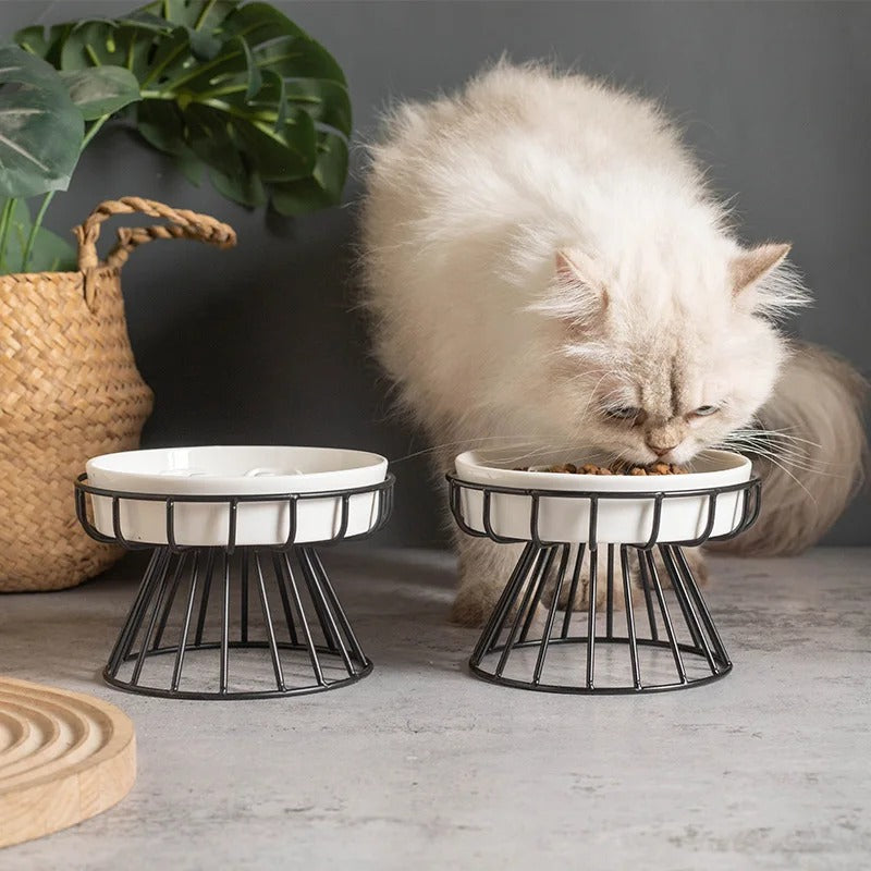 Gamelle chat céramique surélevé MonChatPodium anti glouton chat persan mange