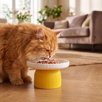 Gamelle chat céramique surélevée MonChatArtiConfort socle stable chat repas jaune