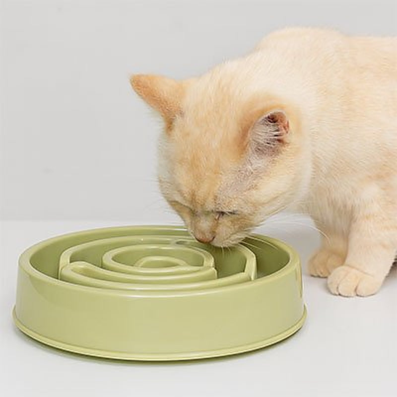 Gamelle pour chat anti glouton MonChatLabyrinthe repas sans précipitation