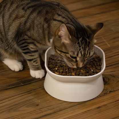 Gamelle pour chat surélevé blanc mange croquettes