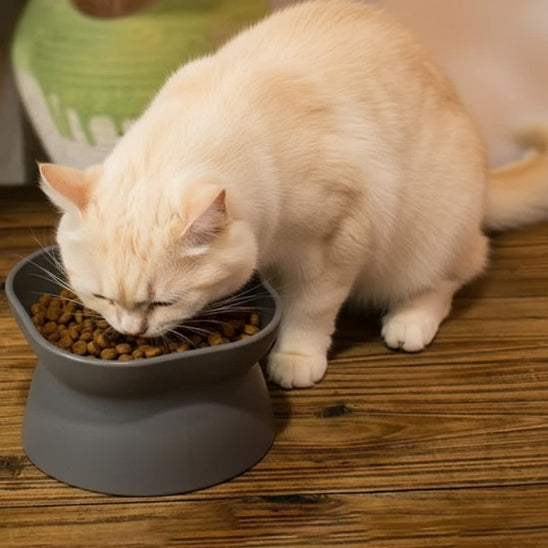 Gamelle pour chat surélevé gris mange croquettes