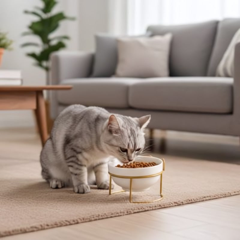 Gamelle surélevée chat MonChatEclat avec bol en céramique design élégant intérieur