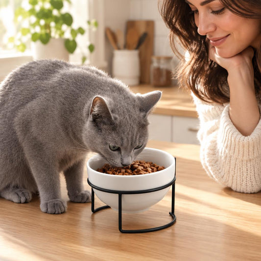 Gamelle surélevée chat MonChatEclat avec bol en céramique noir