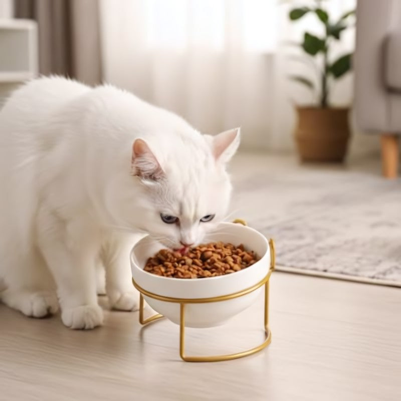 Gamelle surélevée chat MonChatEclat avec bol en céramique posture alignée