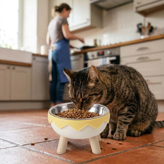 Gamelle surélevée chat MonChatGamox jaune mange
