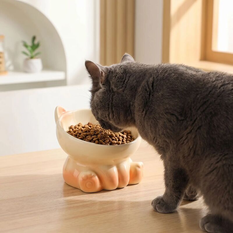 Gamelles surélevées chat MonChatZen chat mange