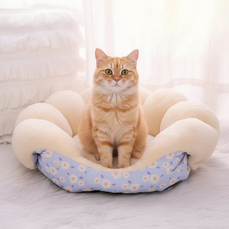 Lit pour chat Modulable 3-en-1 bleu S