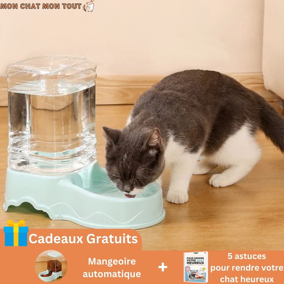 fontaine-a-eau-chat-bleu-chat-boit