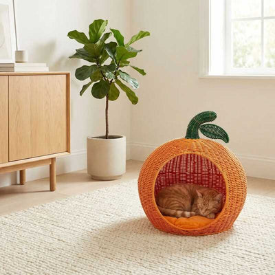 Panier à chat en osier MonChat'Orange confort