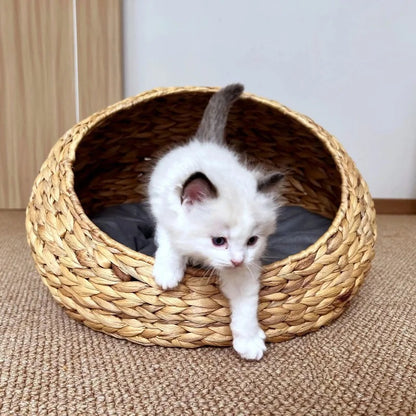 Panier chat boule osier MonChatBullOsier embellit maison
