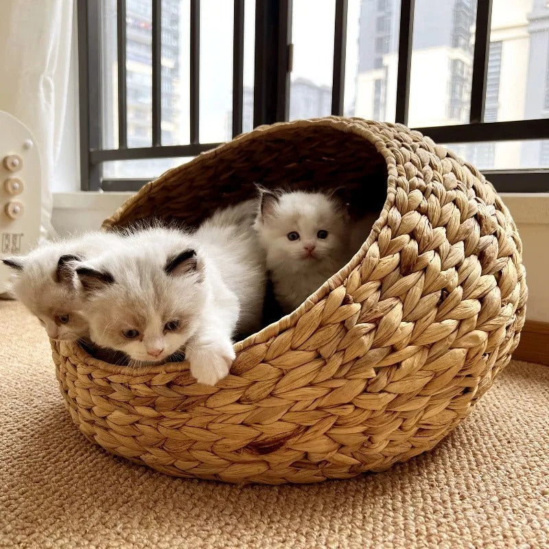 Panier chat boule osier MonChatBullOsier idéal chatons