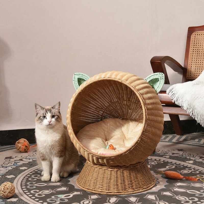 Panier chat boule osier MonChatPalax pose photo