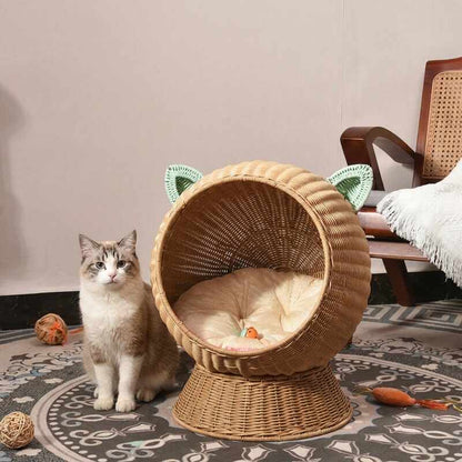 Panier chat boule osier MonChatPalax pose photo