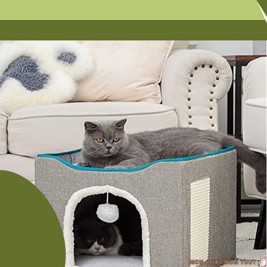 Niche-pour-chat-etage-2-chats