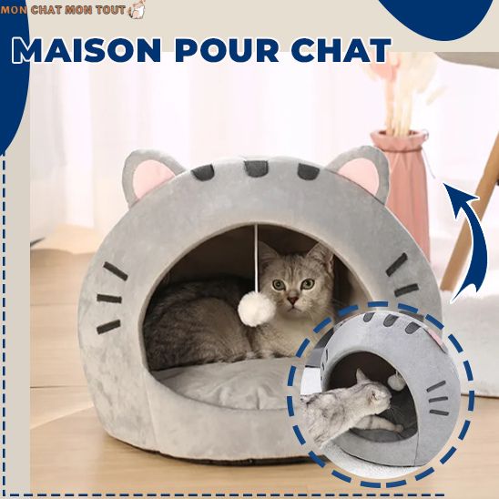 Panier-chat-maison-pour-chat