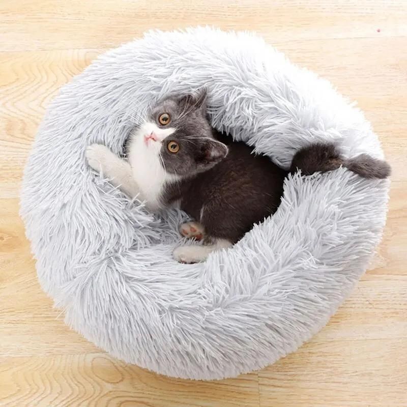 panier chat gris vue de haut