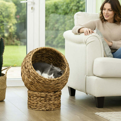 Panier chat osier MonChatOsierDoux beau salon