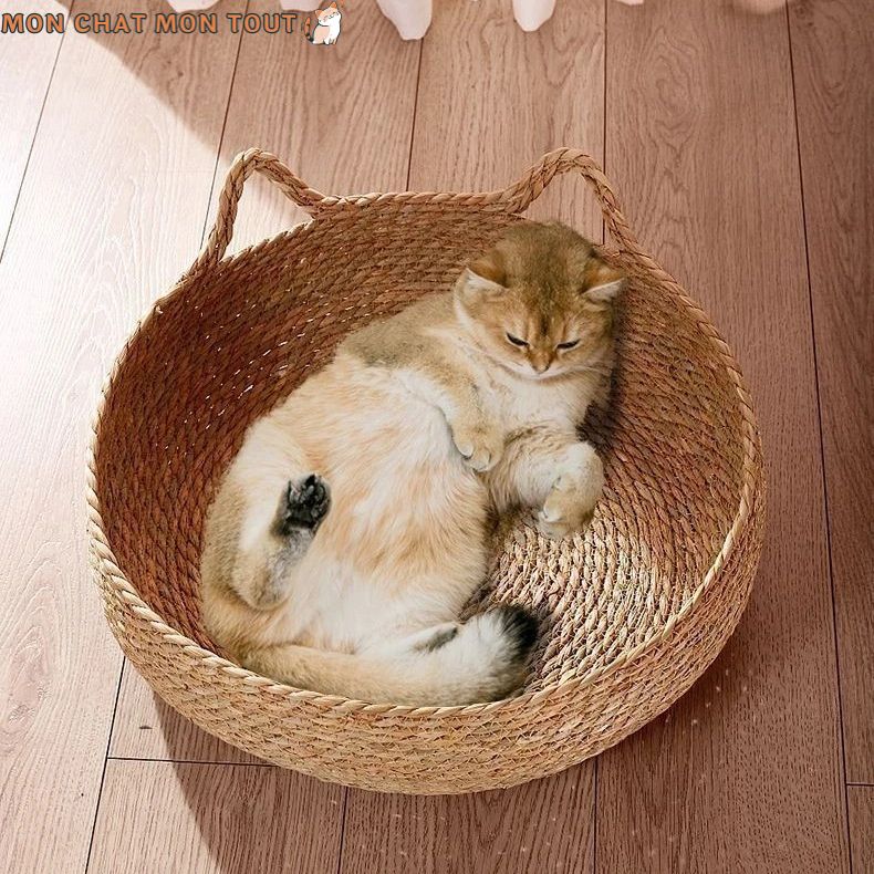 Panier-chat-osier-chat