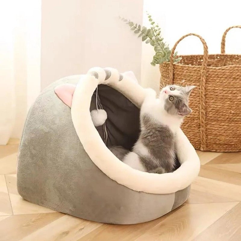 Panier chat palachat chaton debout