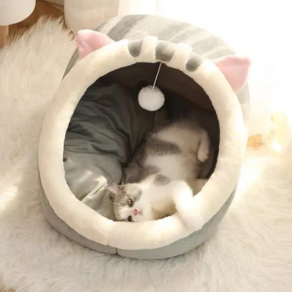 panier chat palachat chaton joue