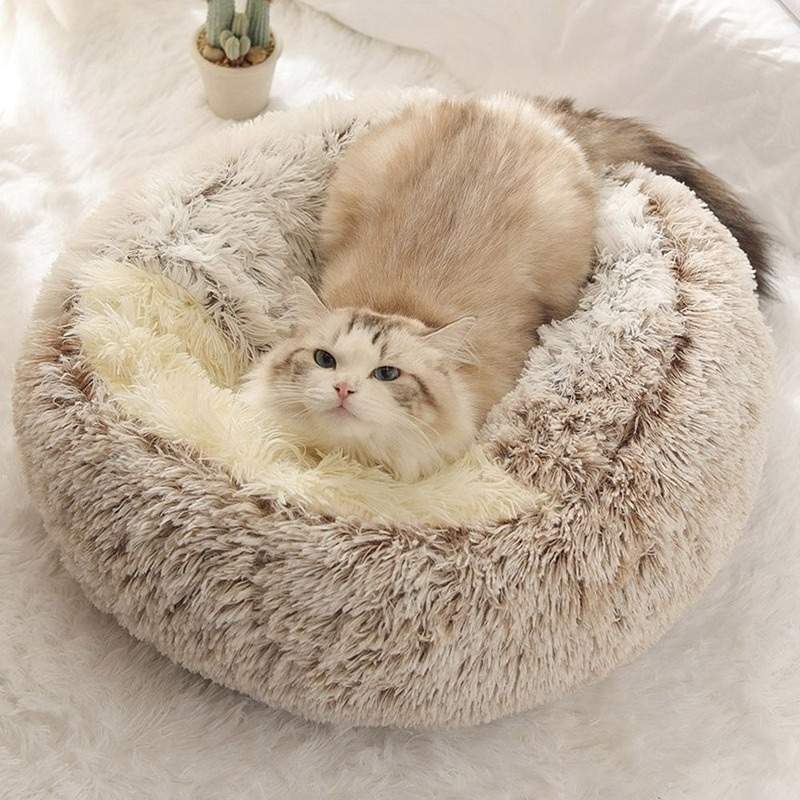 Panier chat peluchat café